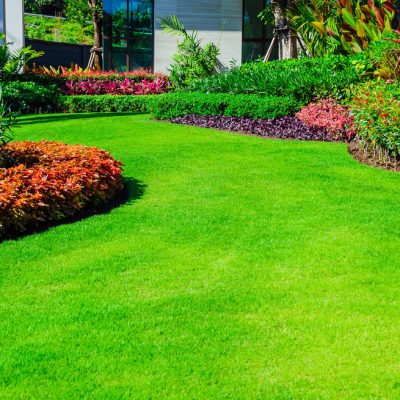 AMENAGEMENT-ESPACE-VERTS